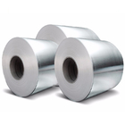 Duplex Polished Stainless Steel Coil SS 1mm 3mm 5mm 304 309s 410 Cold Rolled